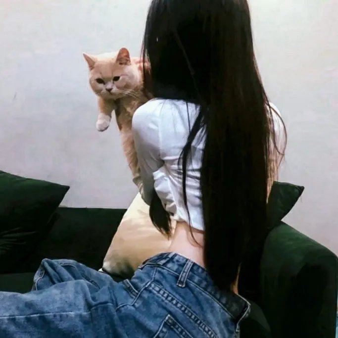 金发美人